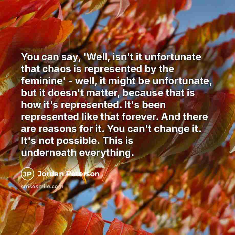 “You can say, 'Well, isn't it unfortunate that chaos is…” quote by Jordan Peterson