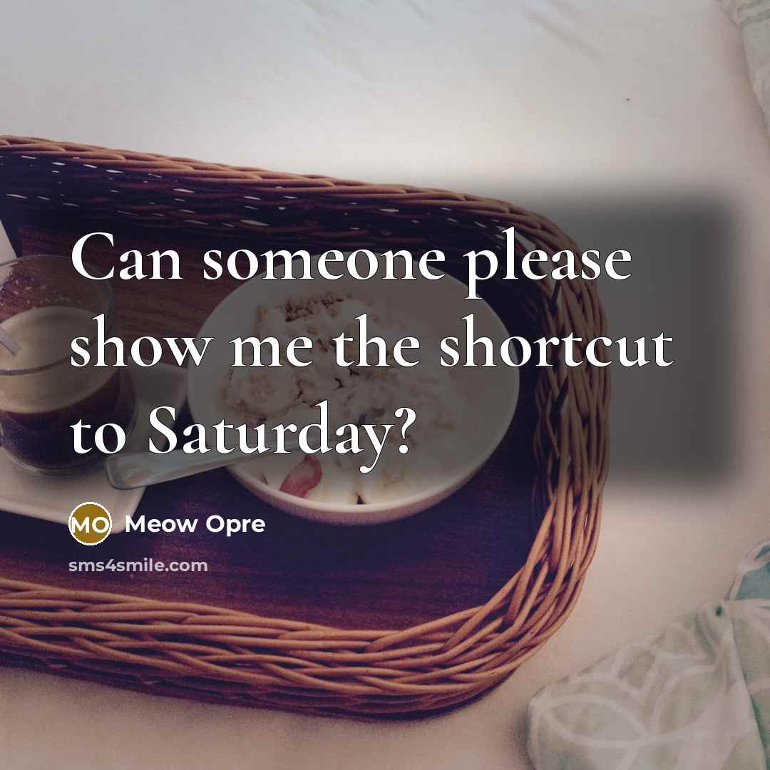 “Can someone please show me the shortcut to Saturday?…” quote by Meow Opre
