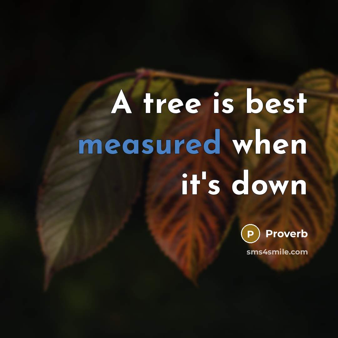 “A tree is best measured when it's down” quote by Proverb