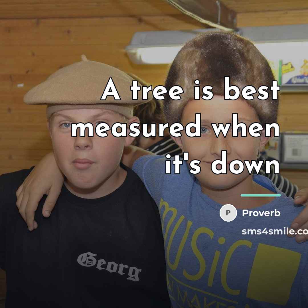 “A tree is best measured when it's down…” quote by Proverb