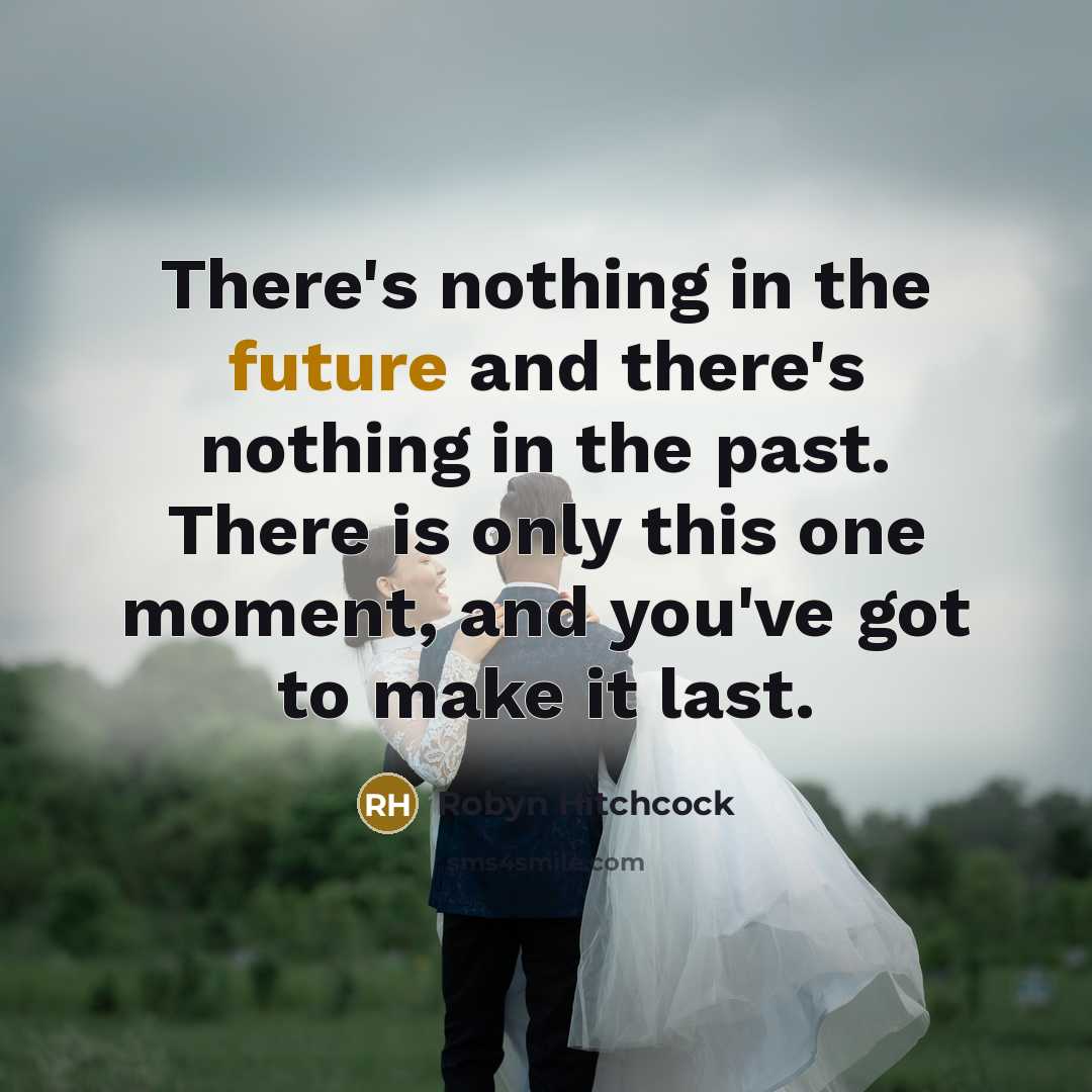“There's nothing in the future and there's nothing in the…” quote by Robyn Hitchcock