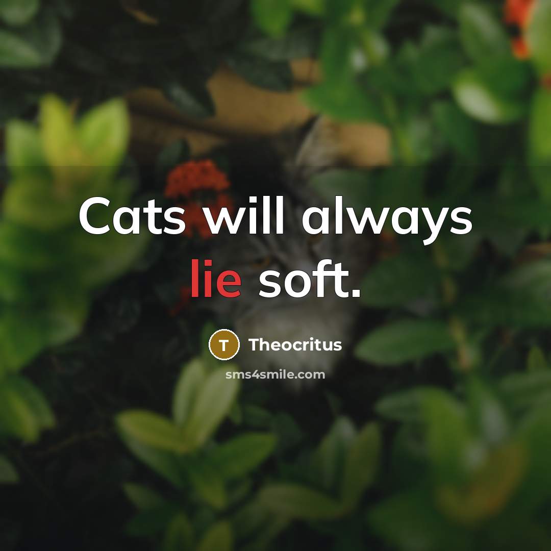 “Cats will always lie soft.…” quote by Theocritus