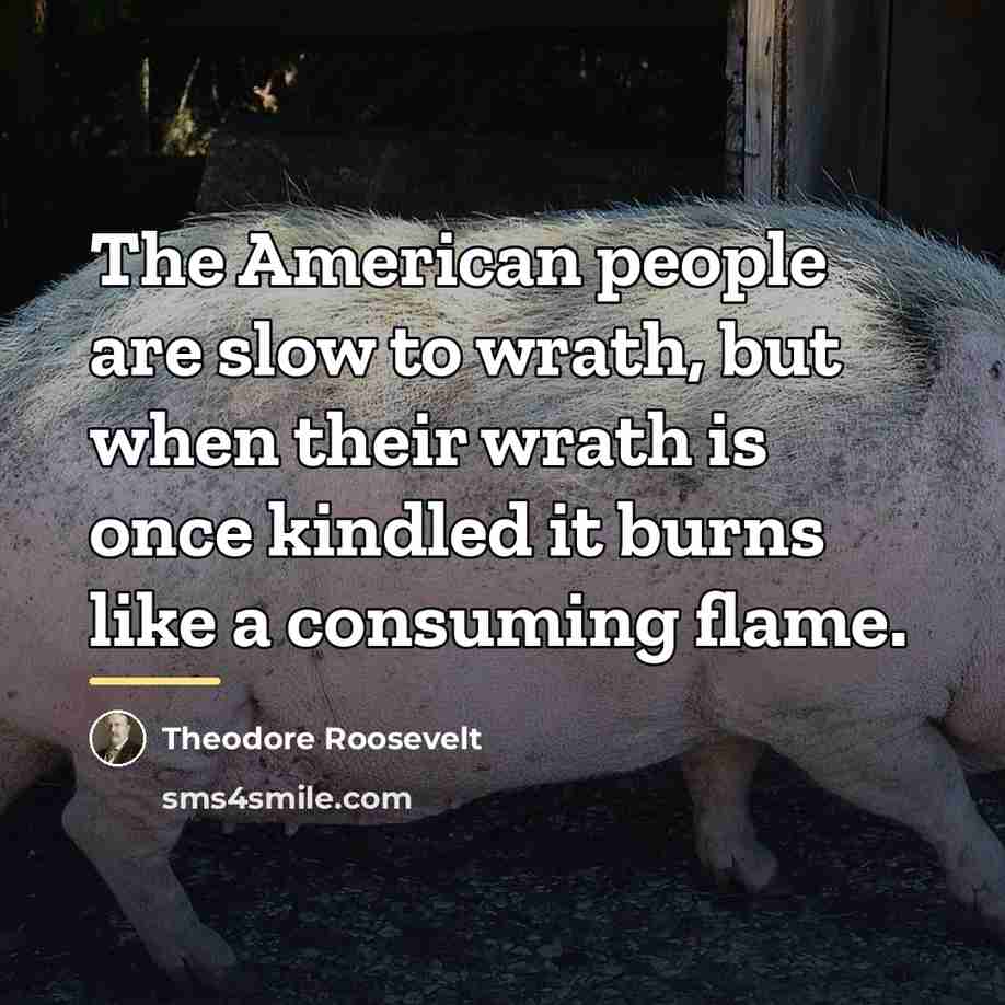 “The American people are slow to wrath, but when their…” quote by Theodore Roosevelt