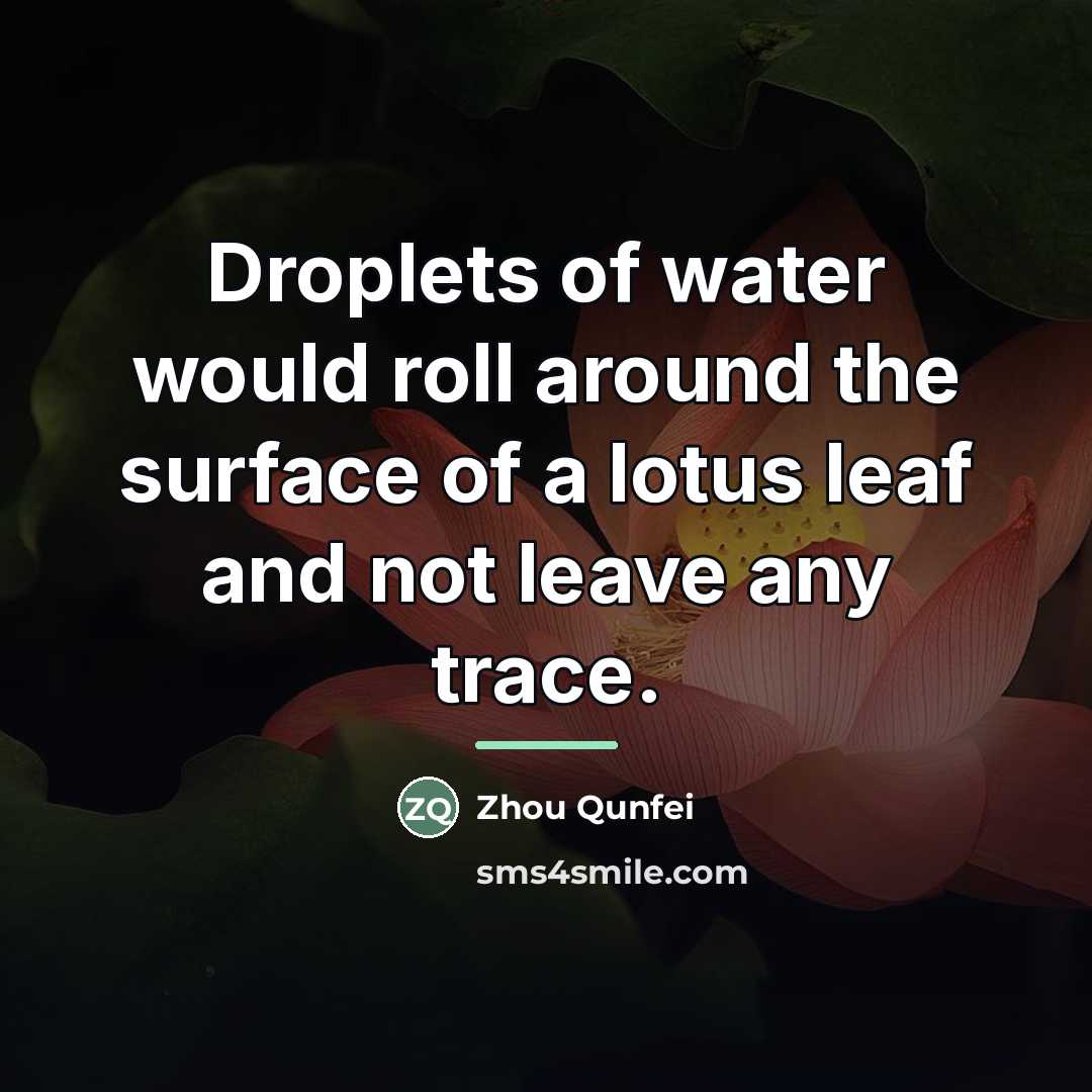 “Droplets of water would roll around the surface of a…” quote by Zhou Qunfei