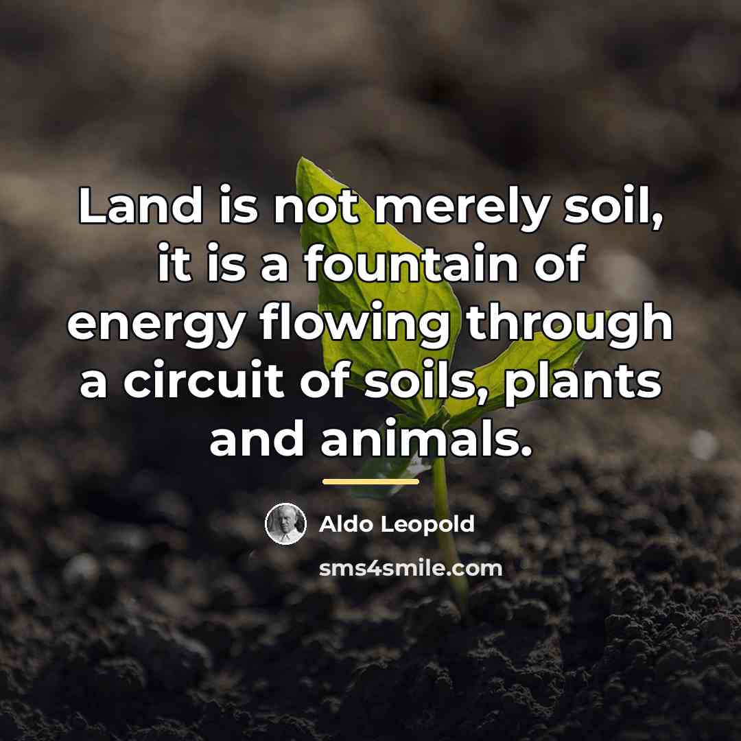 “Land is not merely soil, it is a fountain of…” quote by Aldo Leopold