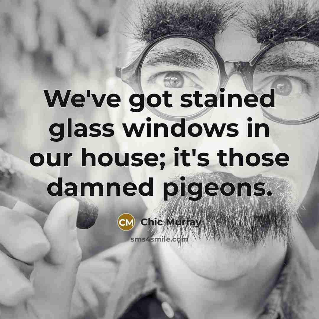 “We've got stained glass windows in our house; it's those…” quote by Chic Murray