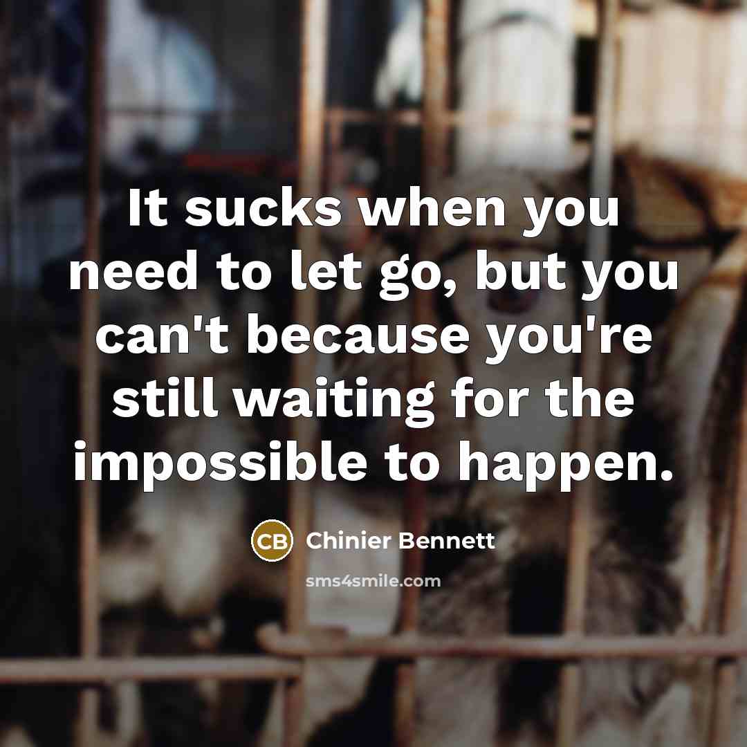 “It sucks when you need to let go, but you…” quote by Chinier Bennett