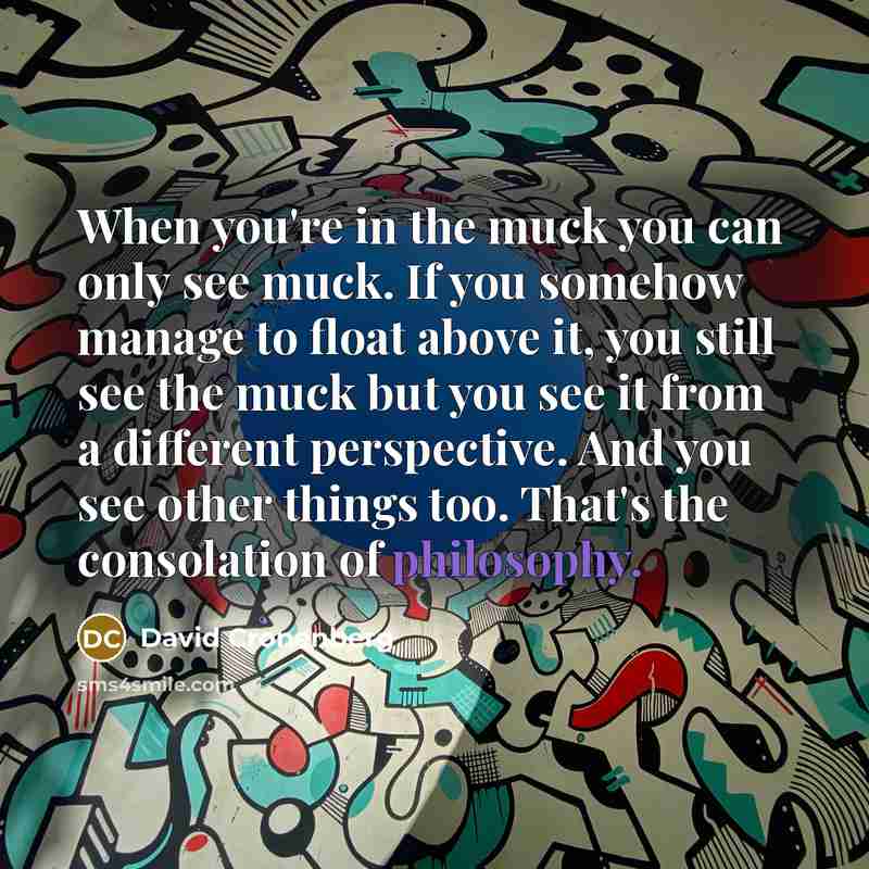 “When you're in the muck you can only see muck.…” quote by David Cronenberg