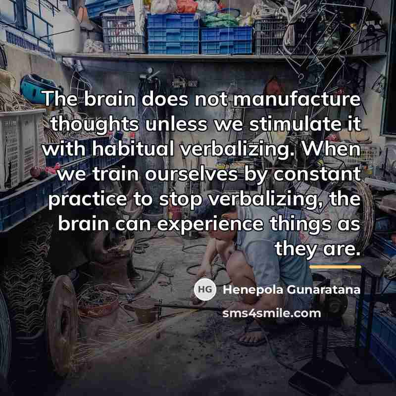 “The brain does not manufacture thoughts unless we stimulate it…” quote by Henepola Gunaratana