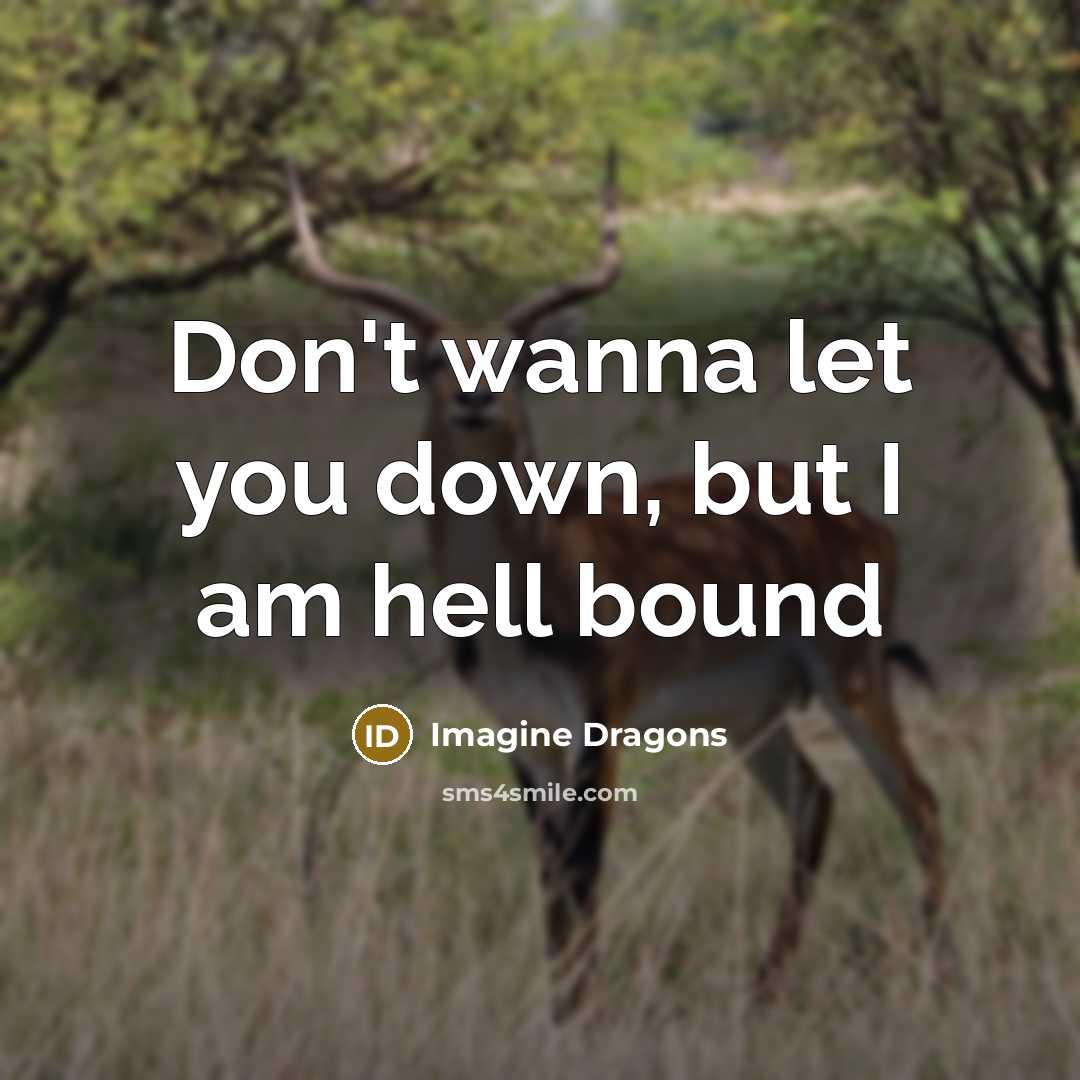 “Don't wanna let you down, but I am hell bound…” quote by Imagine Dragons