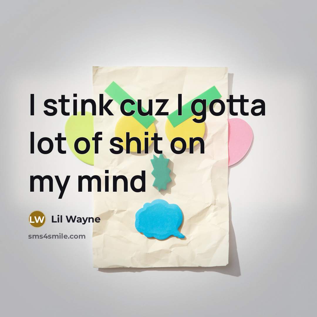 “I stink cuz I gotta lot of shit on my…” quote by Lil Wayne
