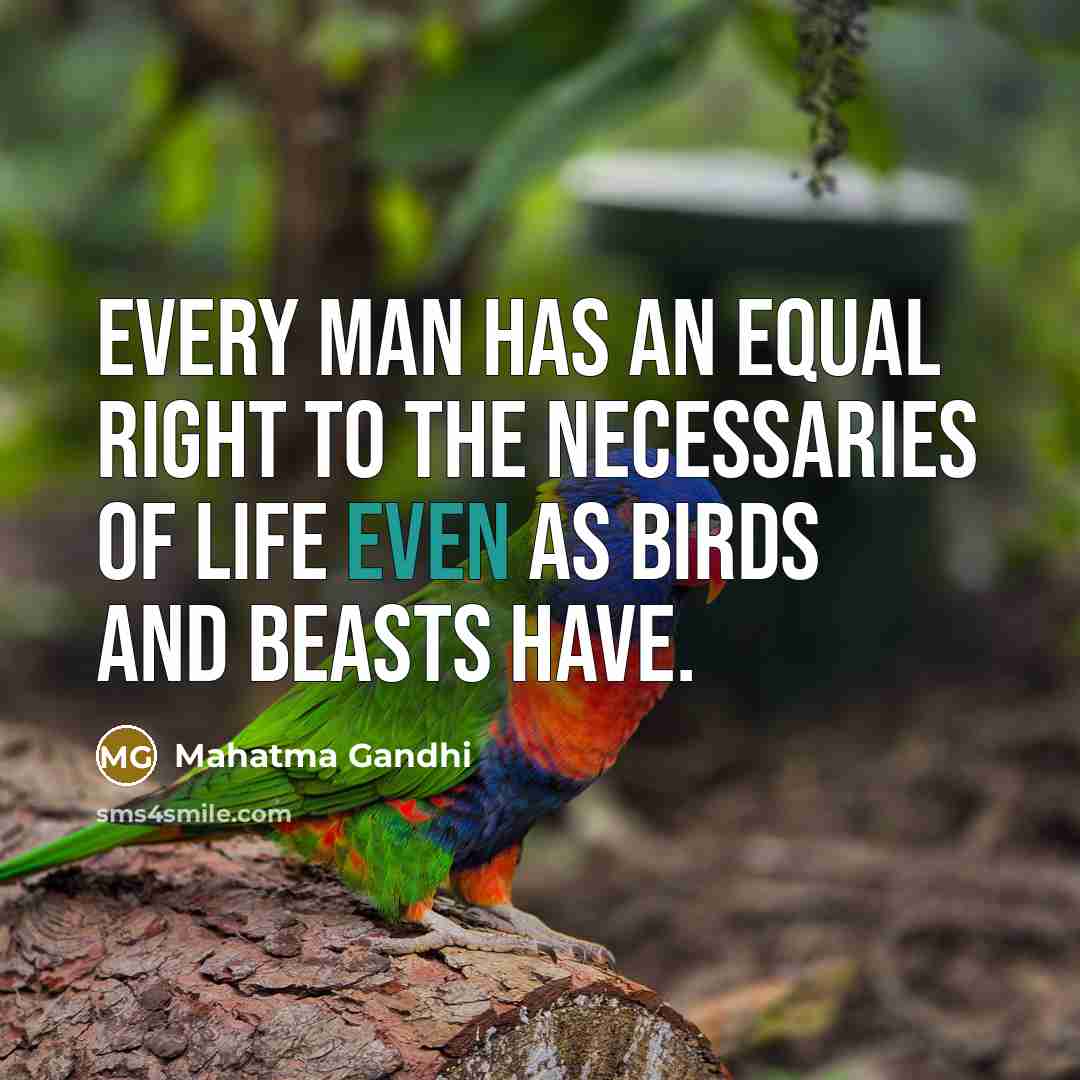 “Every man has an equal right to the necessaries of…” quote by Mahatma Gandhi