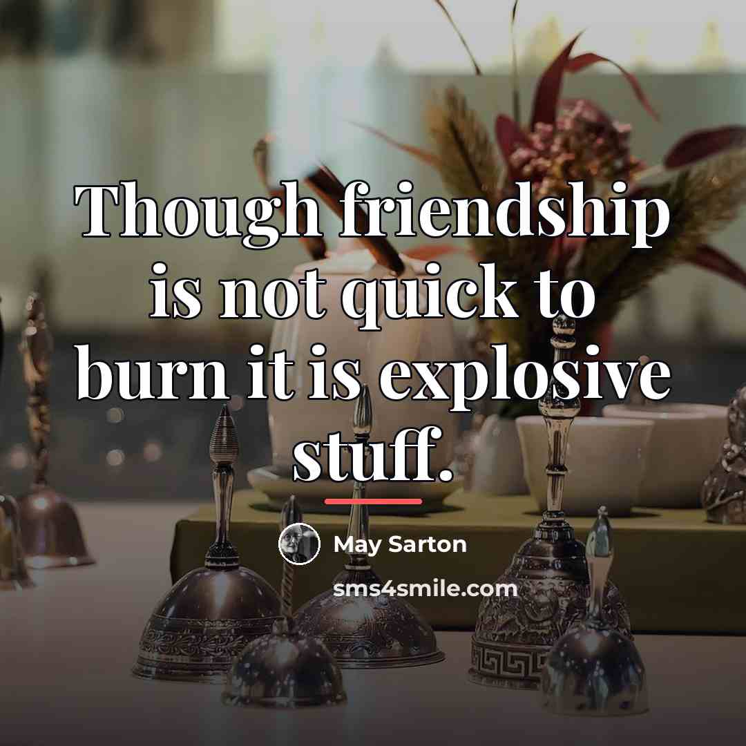 “Though friendship is not quick to burn it is explosive…” quote by May Sarton