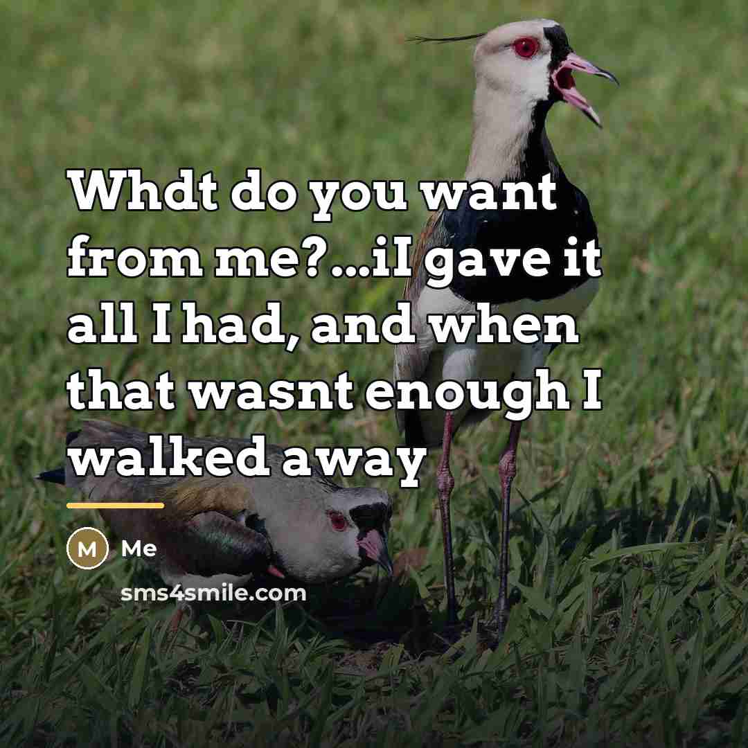 “Whdt do you want from me?...iI gave it all I…” quote by Me