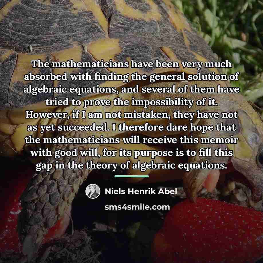 “The mathematicians have been very much absorbed with finding the…” quote by Niels Henrik Abel