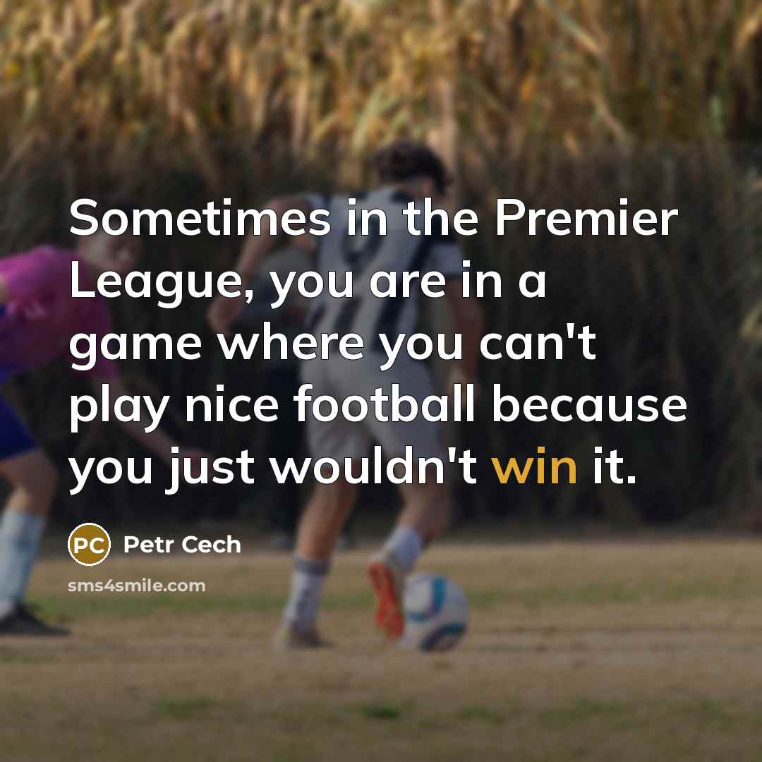 “Sometimes in the Premier League, you are in a game…” quote by Petr Cech