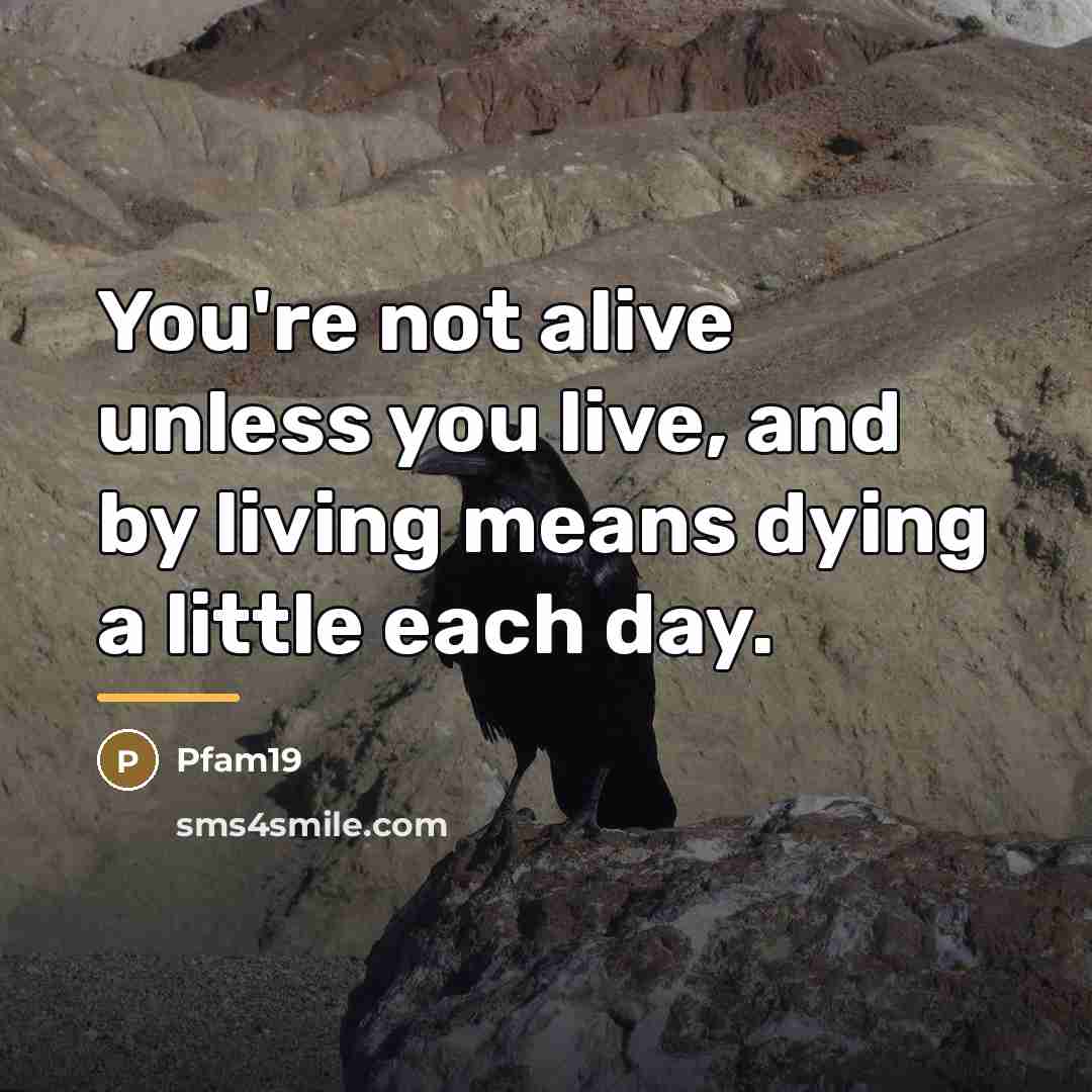 “You're not alive unless you live, and by living means…” quote by Pfam19