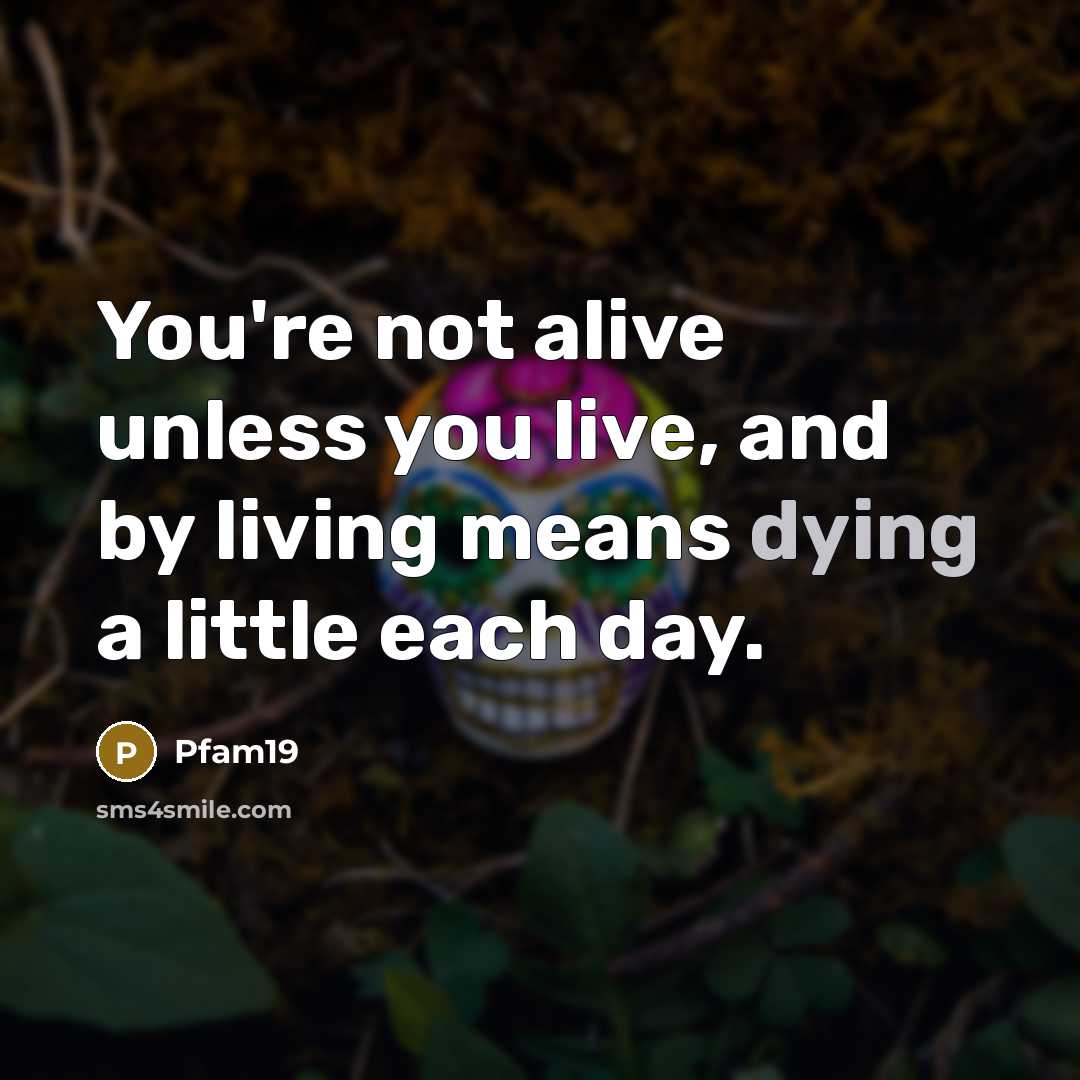 “You're not alive unless you live, and by living means dying a little each day.” quote by Pfam19