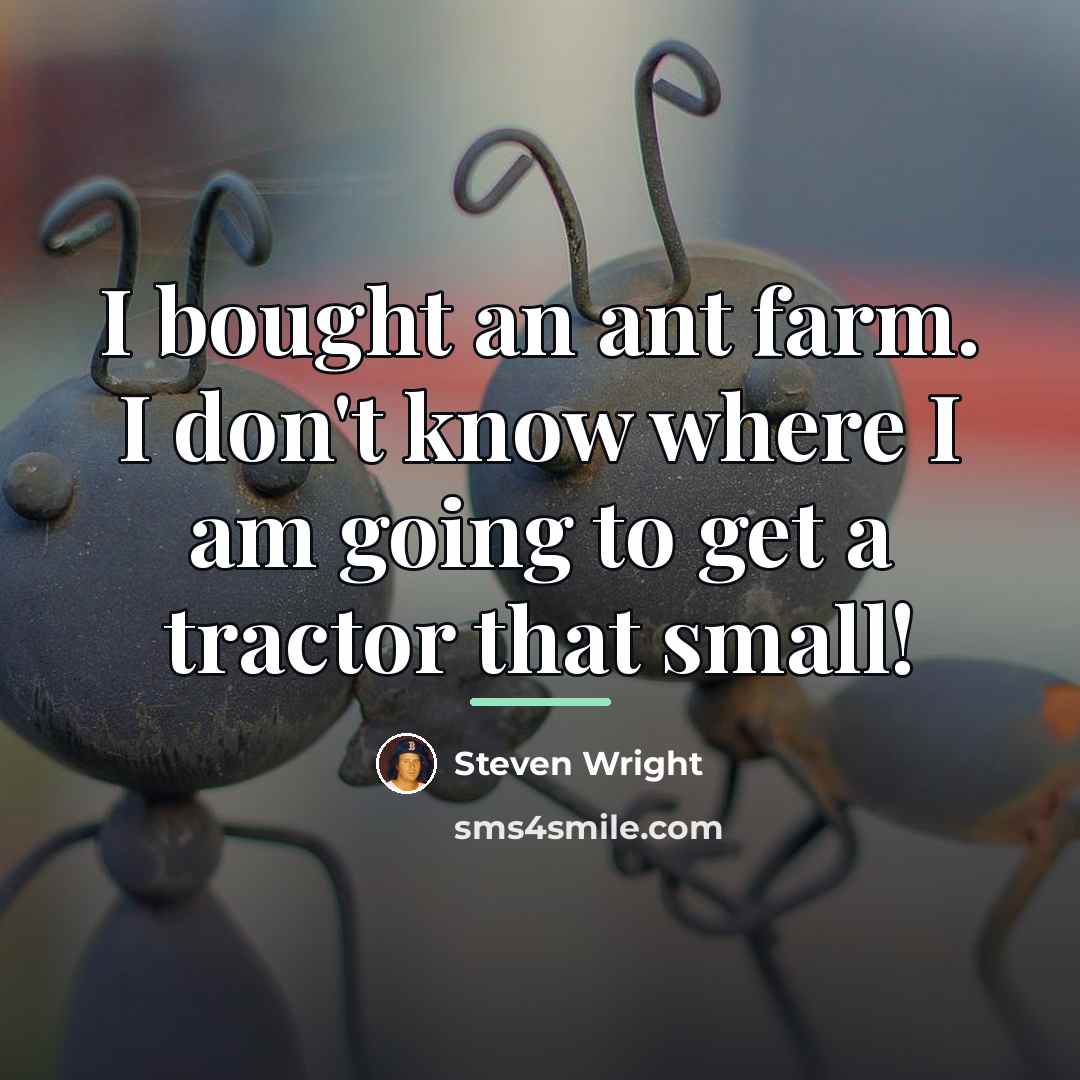 “I bought an ant farm. I don't know where I…” quote by Steven Wright