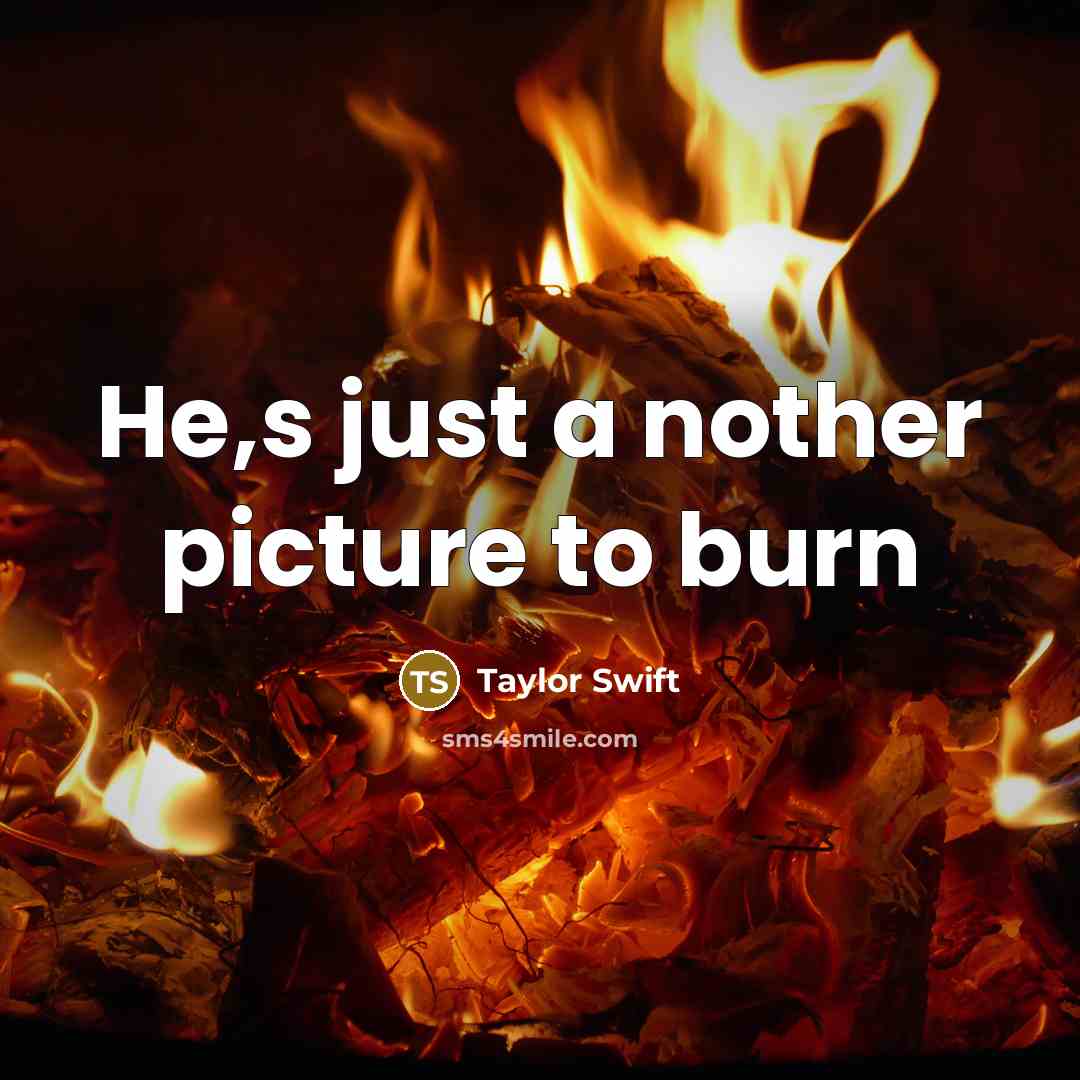 “He,s just a nother picture to burn” quote by Taylor Swift