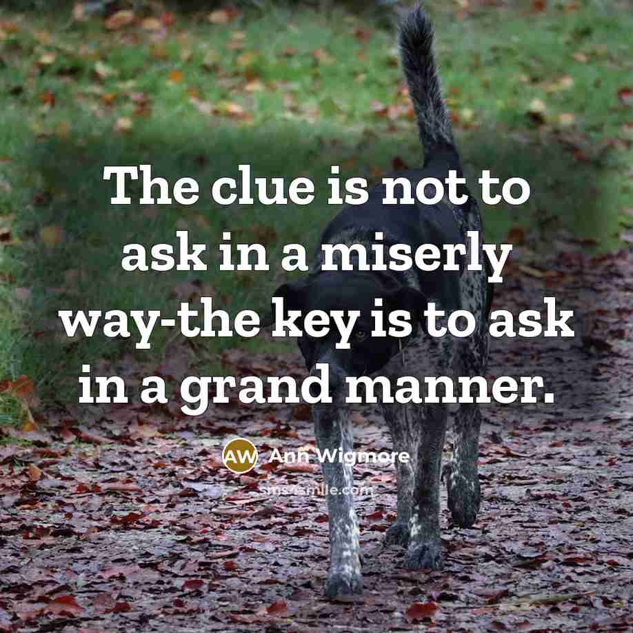 “The clue is not to ask in a miserly way-the…” quote by Ann Wigmore