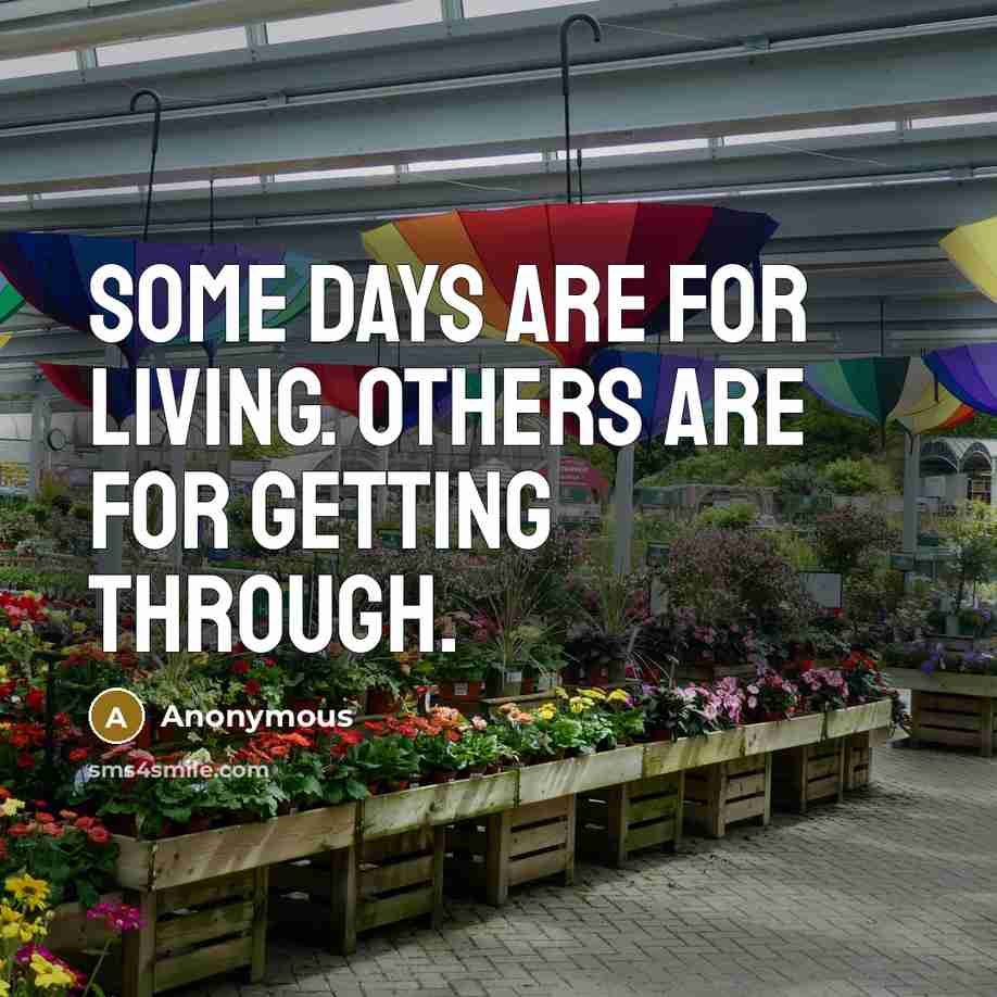 “Some days are for living. Others are for getting through.…” quote by Anonymous
