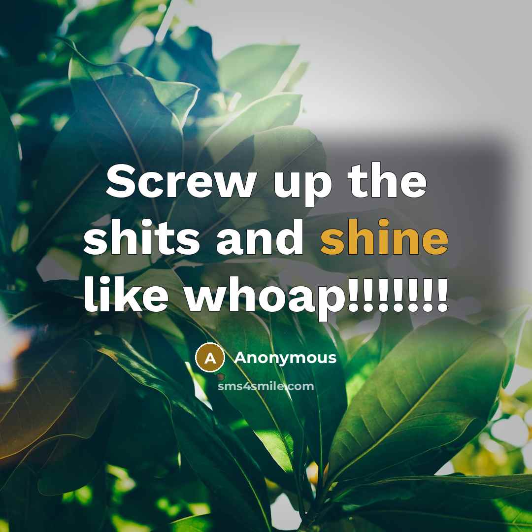 “Screw up the shits and shine like whoap!!!!!!!…” quote by Anonymous
