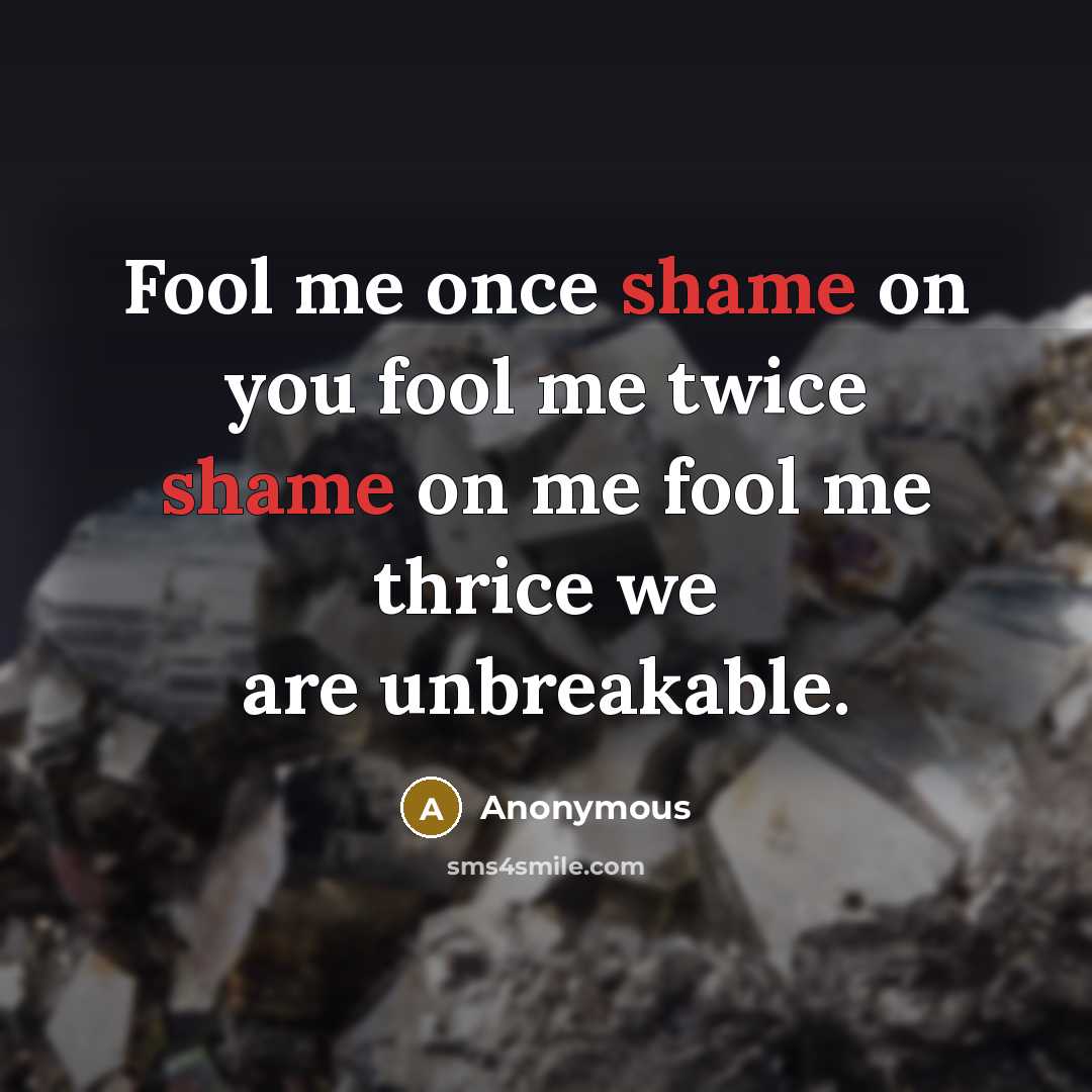 “Fool me once shame on you fool me twice shame…” quote by Anonymous