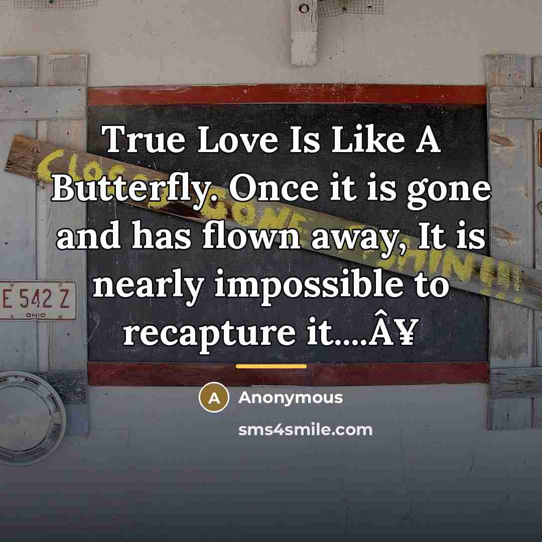 “True Love Is Like A Butterfly. Once it is gone…” quote by Anonymous