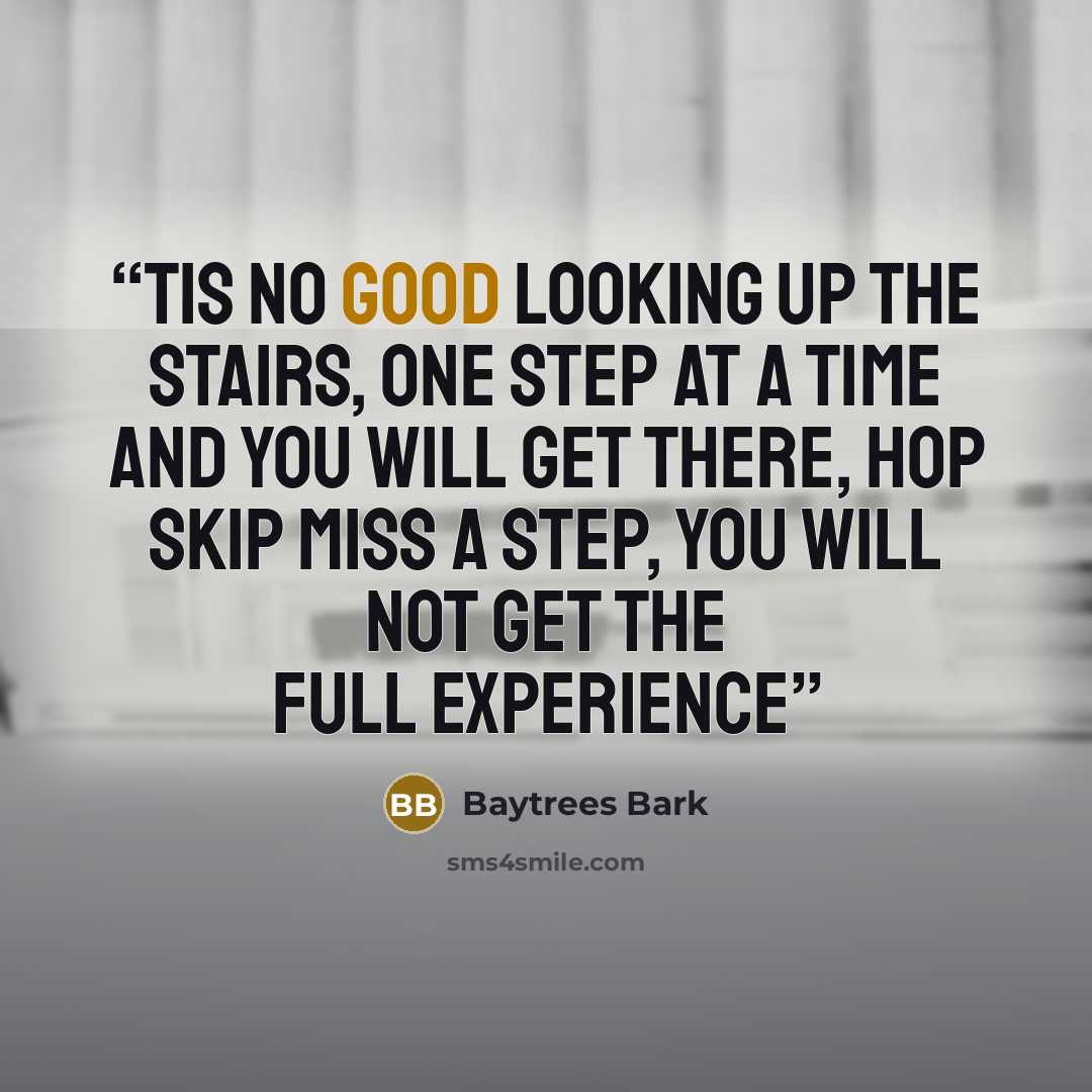 “Tis no good looking up the stairs, One step at a time and you will get there, Hop skip miss a step, You will not get the full experience” quote by Baytrees Bark
