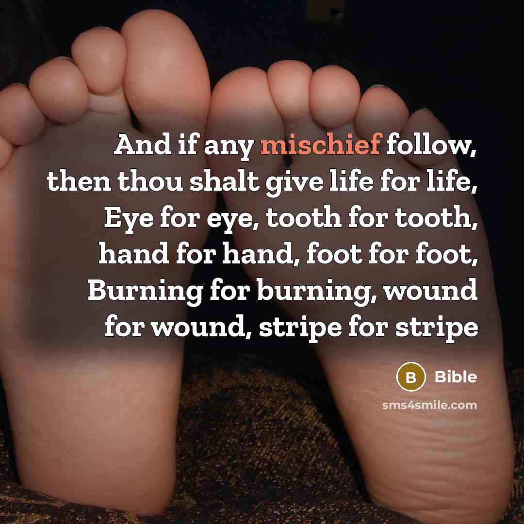 “And if any mischief follow, then thou shalt give life…” quote by Bible