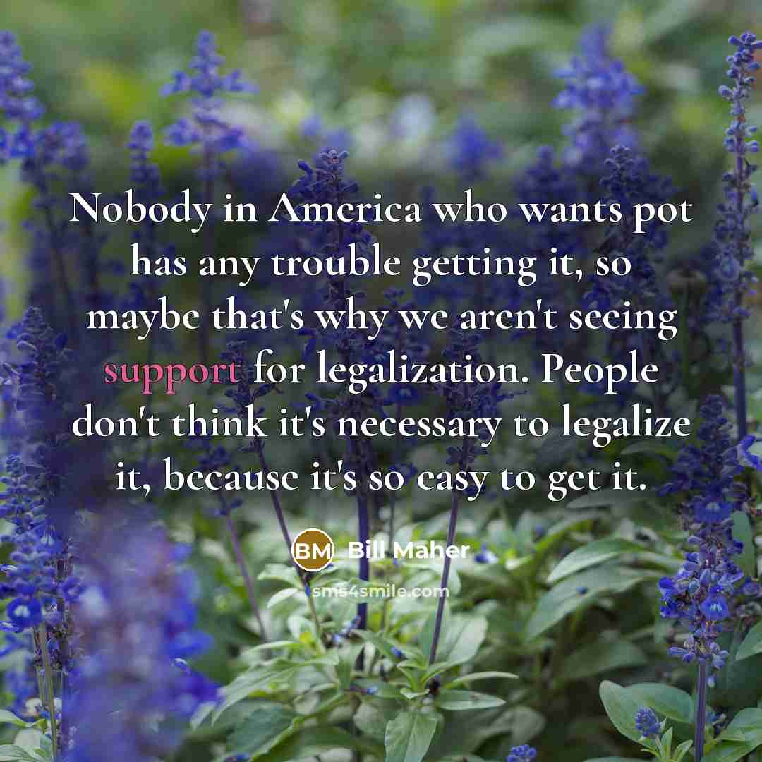 “Nobody in America who wants pot has any trouble getting…” quote by Bill Maher