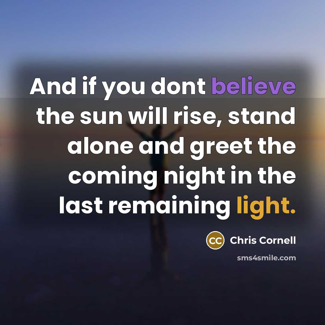 “And if you dont believe the sun will rise, stand alone and greet the coming night in the last remaining light.” quote by Chris Cornell