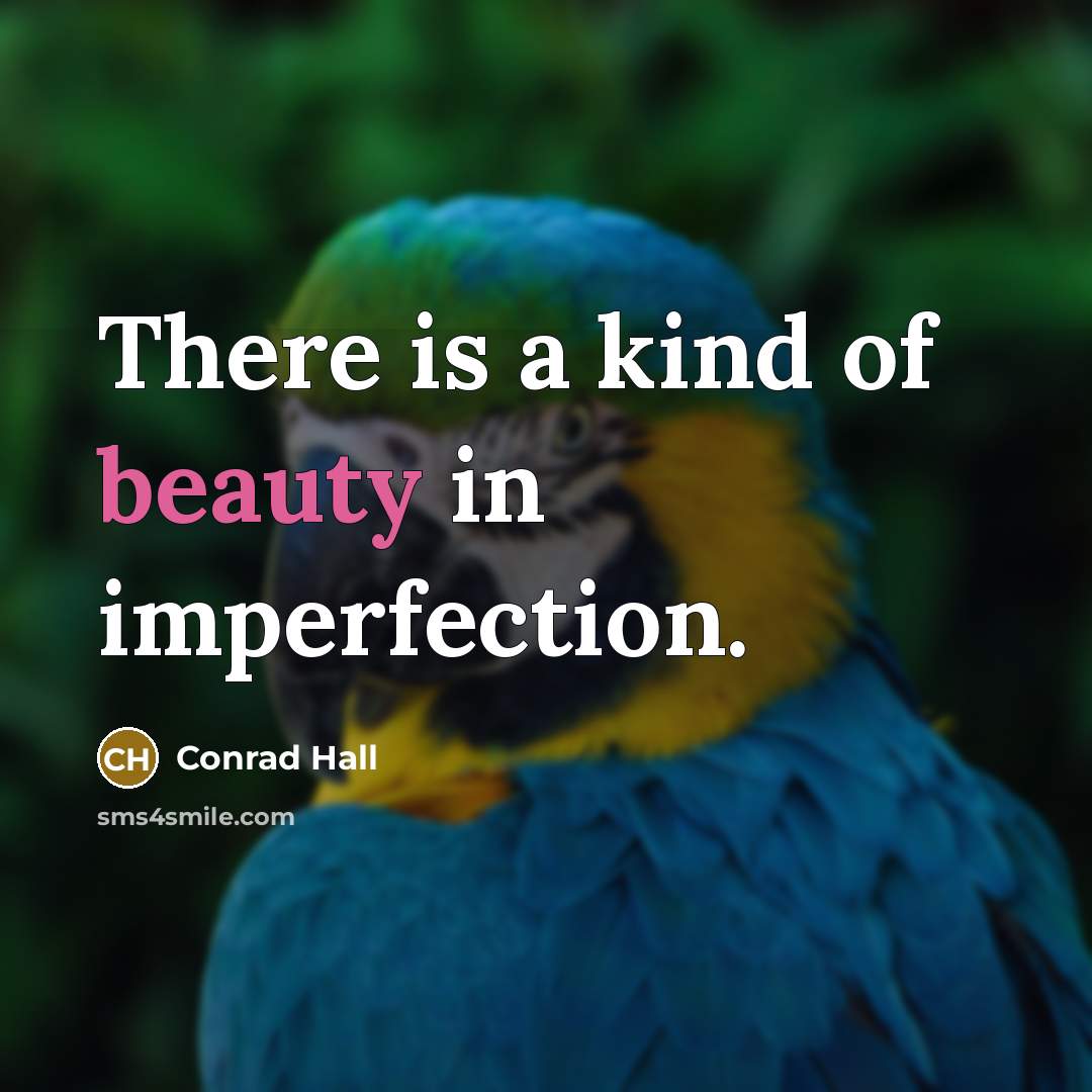 “There is a kind of beauty in imperfection.…” quote by Conrad Hall