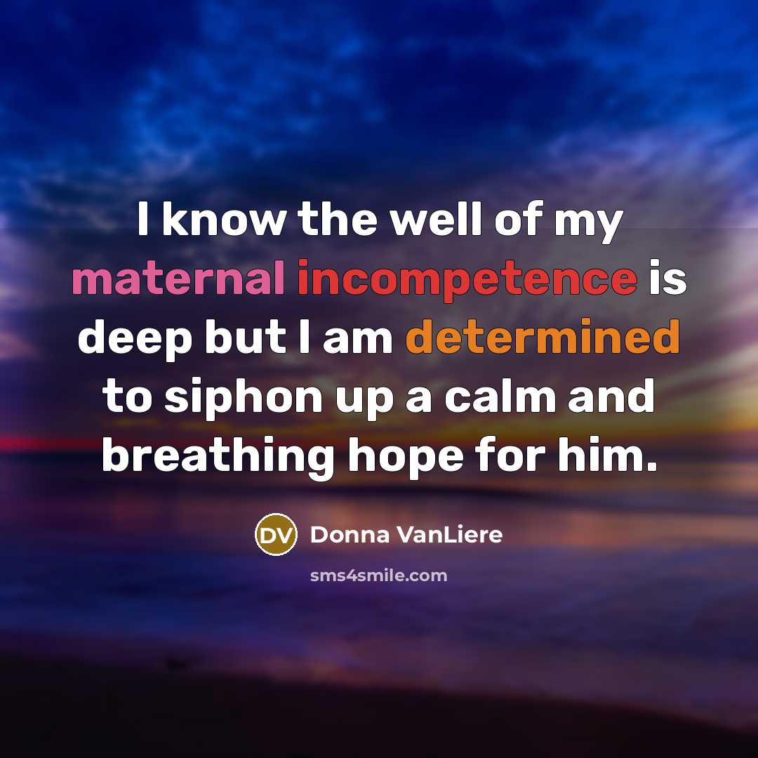 “I know the well of my maternal incompetence is deep…” quote by Donna VanLiere