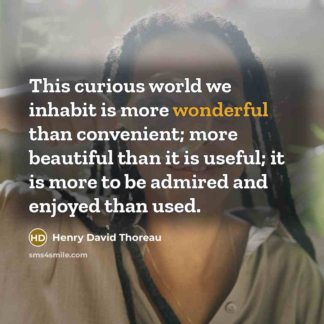 “This curious world we inhabit is more wonderful than convenient;…” quote by Henry David Thoreau