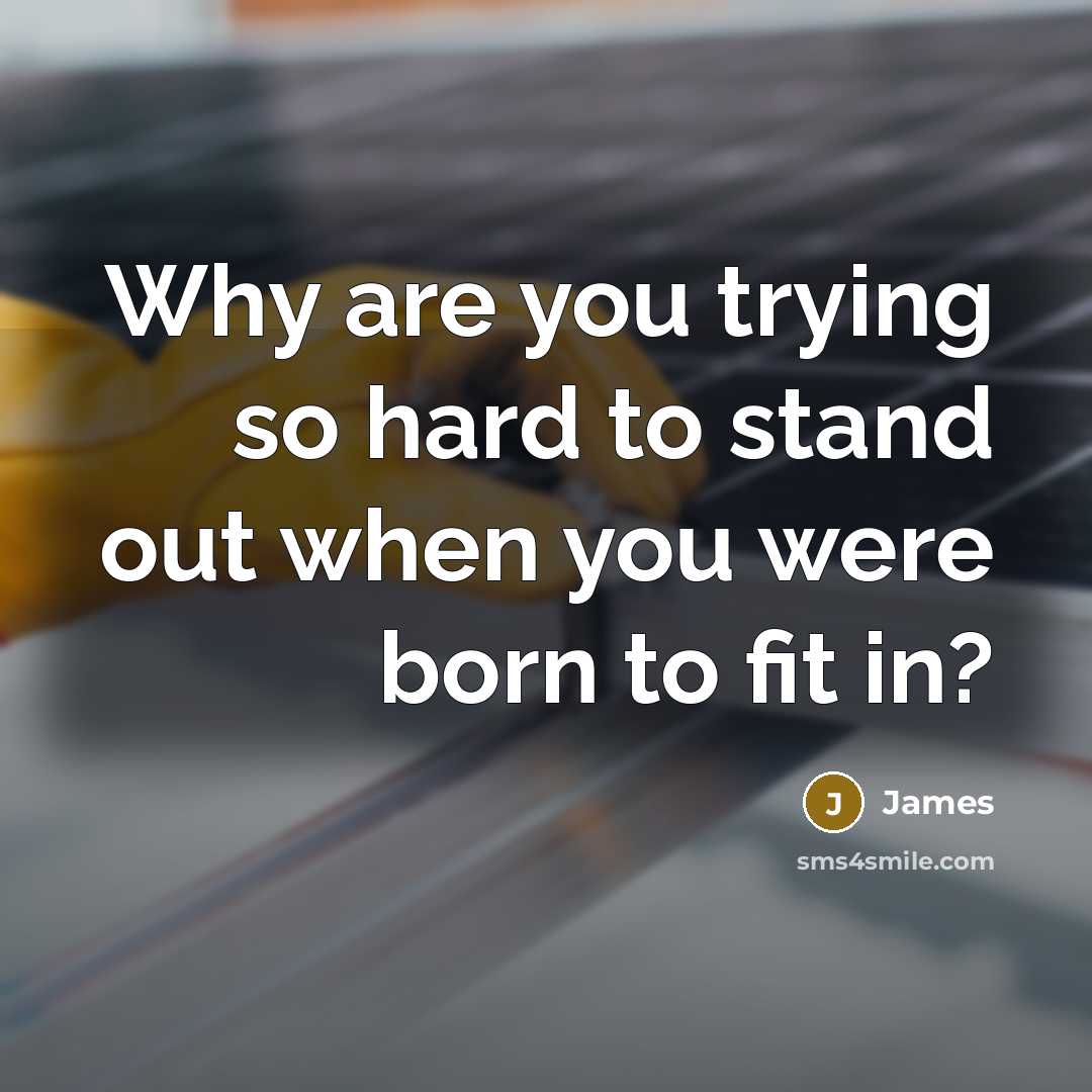 “Why are you trying so hard to stand out when…” quote by James