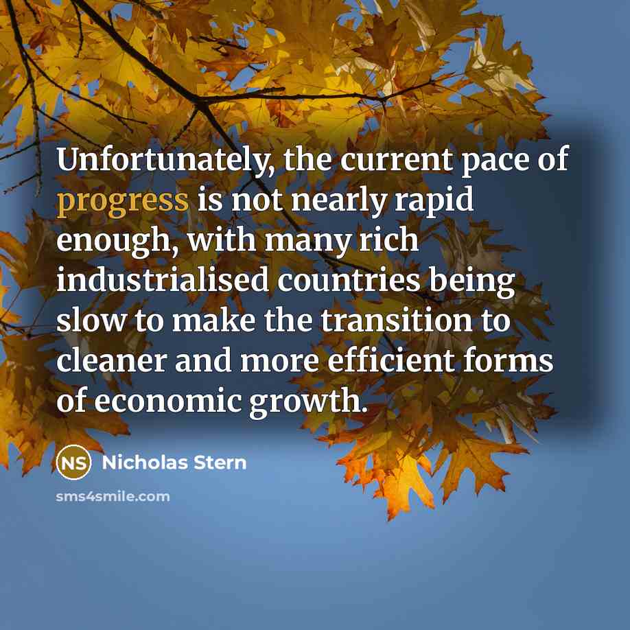 “Unfortunately, the current pace of progress is not nearly rapid…” quote by Nicholas Stern
