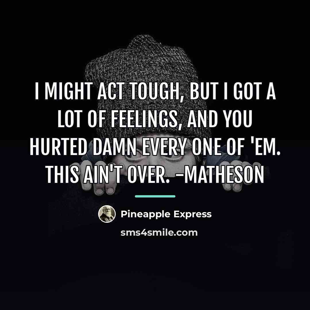 “I might act tough, but I got a lot of…” quote by Pineapple Express