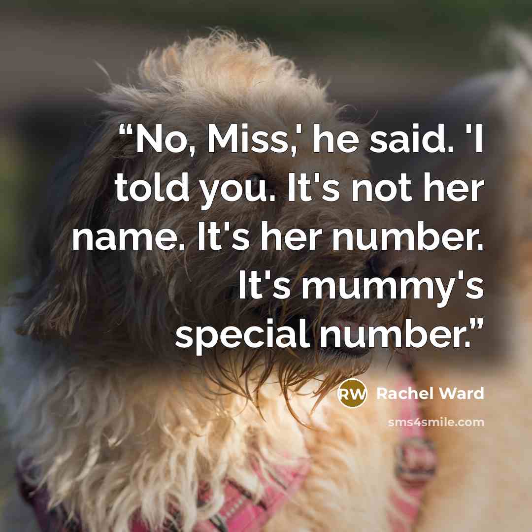 “No, Miss,' he said. 'I told you. It's not her name. It's her number. It's mummy's special number.” quote by Rachel Ward