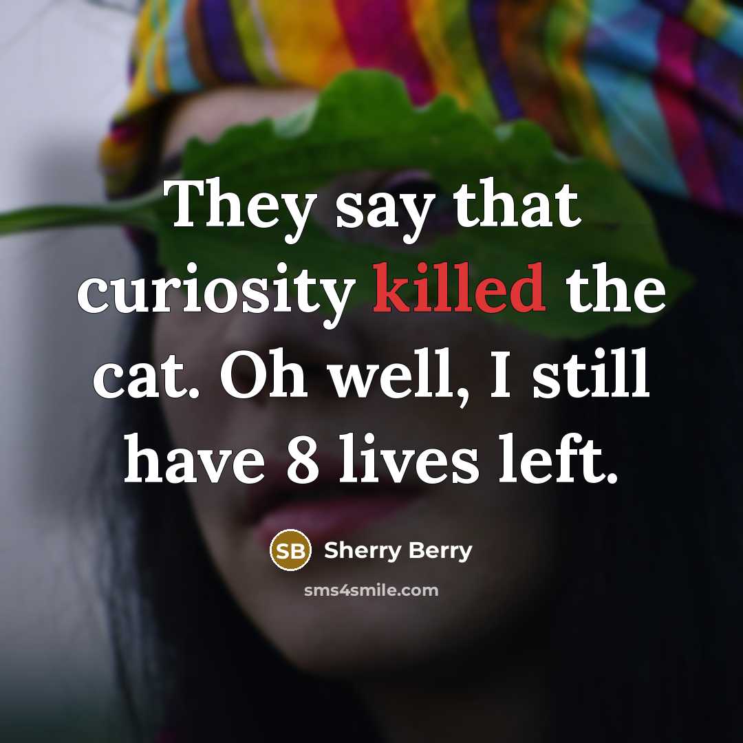 “They say that curiosity killed the cat. Oh well, I…” quote by Sherry Berry