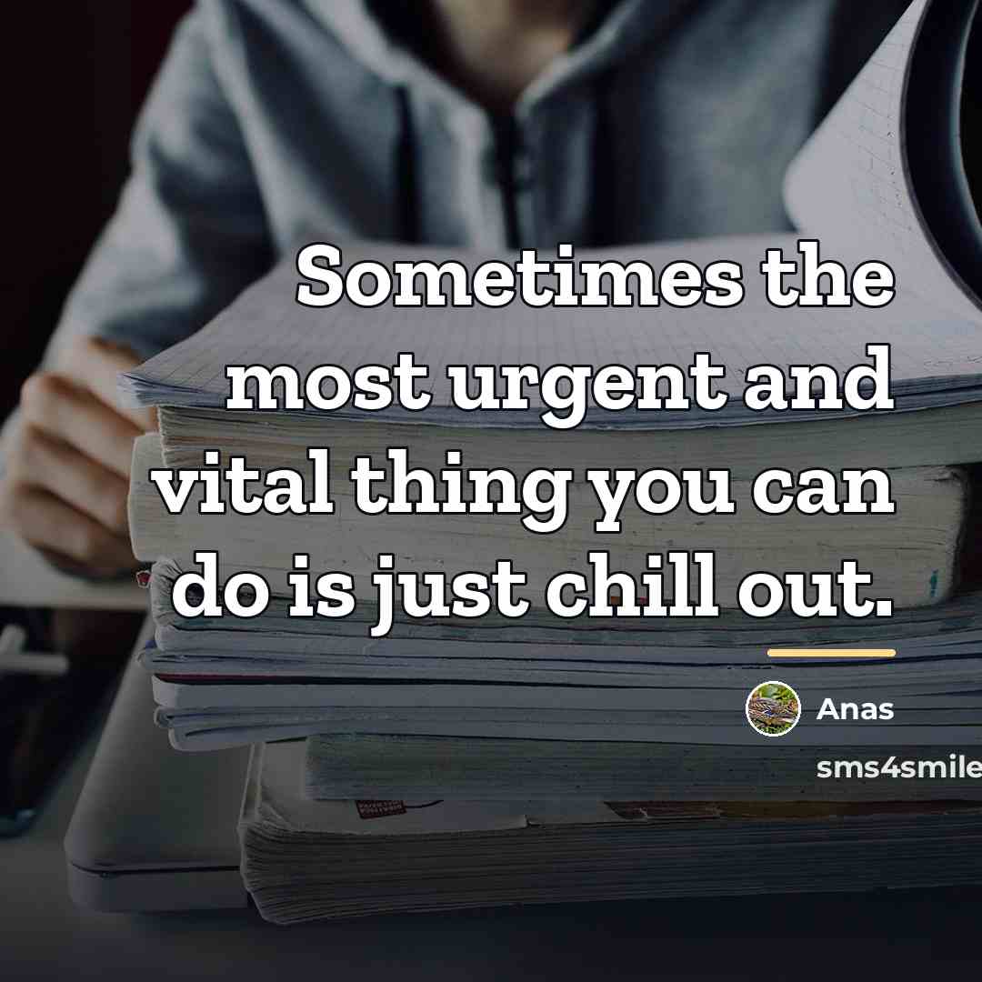 “Sometimes the most urgent and vital thing you can do…” quote by Anas