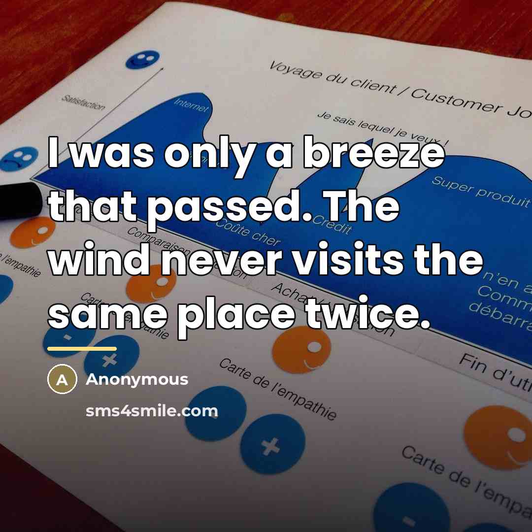 “I was only a breeze that passed. The wind never…” quote by Anonymous