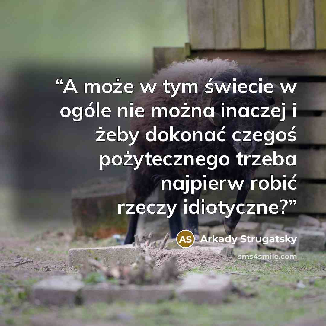 “A może w tym świecie w ogóle nie można inaczej i żeby dokonać czegoś pożytecznego trzeba najpierw robić rzeczy idiotyczne?” quote by Arkady Strugatsky