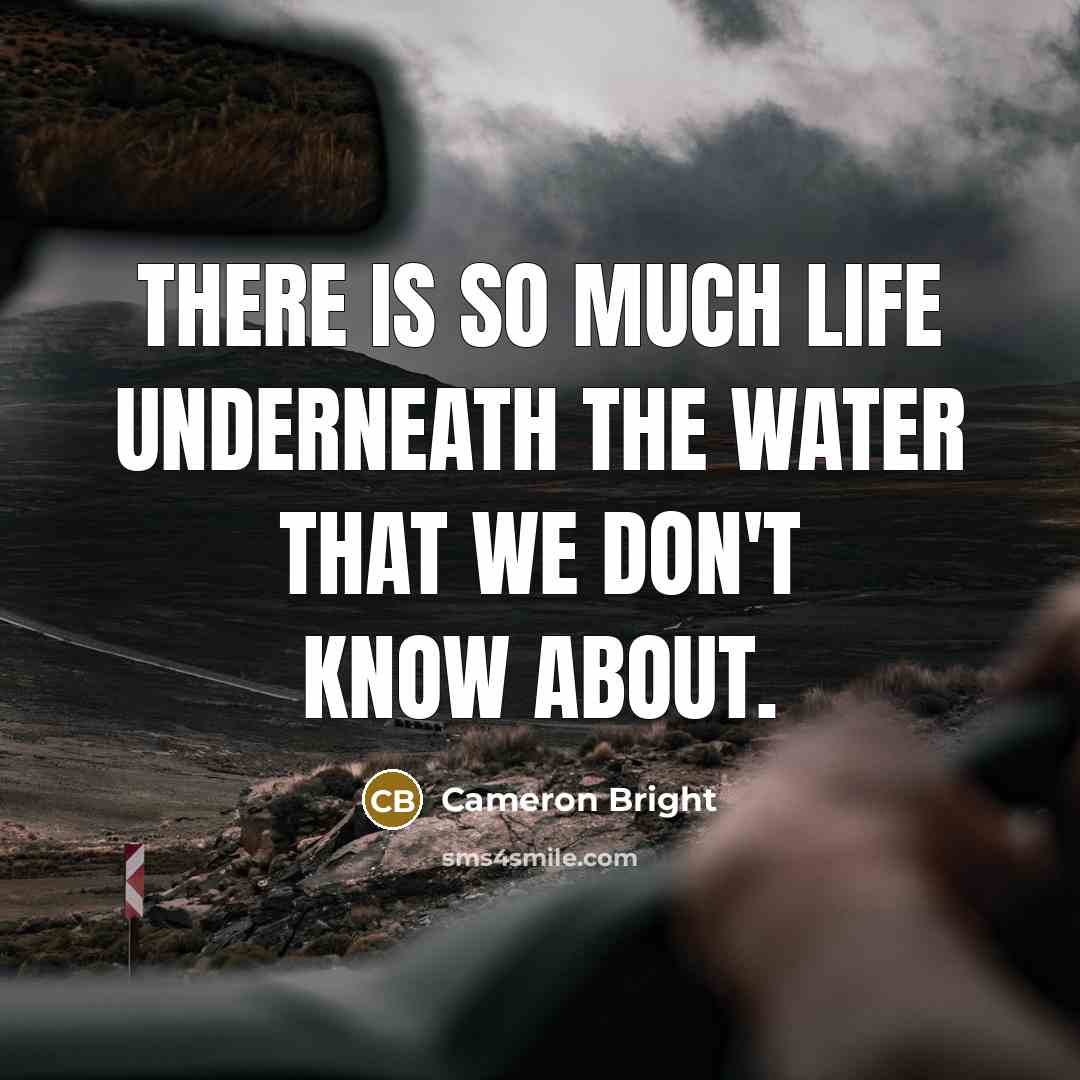 “There is so much life underneath the water that we…” quote by Cameron Bright