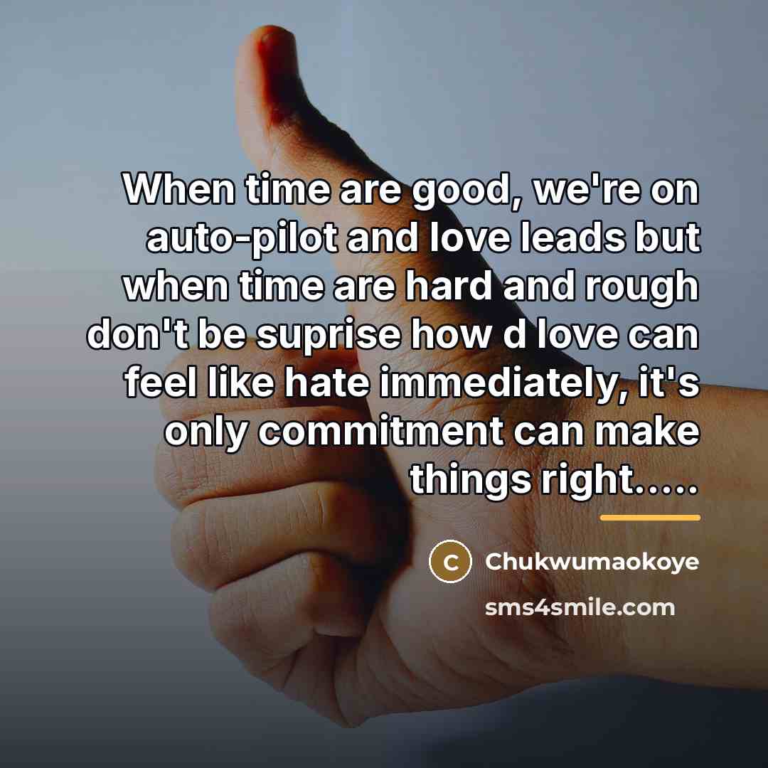 “When time are good, we're on auto-pilot and love leads…” quote by Chukwumaokoye