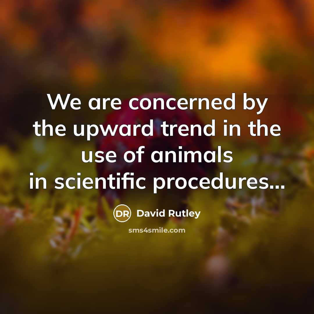 “We are concerned by the upward trend in the use of animals in scientific procedures...” quote by David Rutley