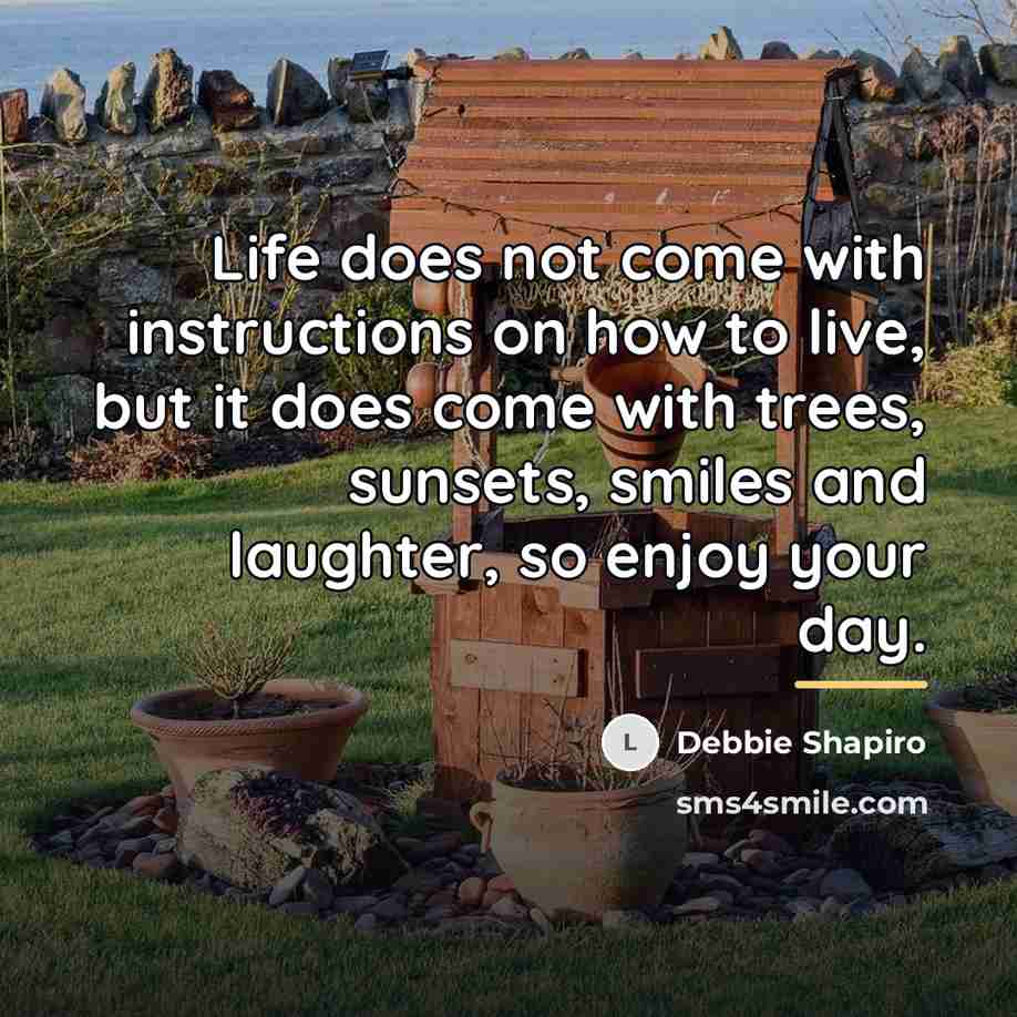 “Life does not come with instructions on how to live,…” quote by Debbie Shapiro