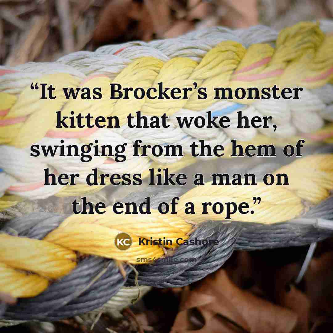 “It was Brocker’s monster kitten that woke her, swinging from the hem of her dress like a man on the end of a rope.” quote by Kristin Cashore