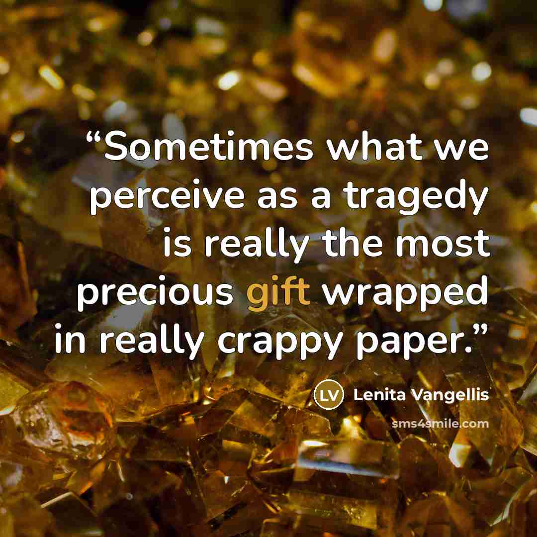 “Sometimes what we perceive as a tragedy is really the most precious gift wrapped in really crappy paper.” quote by Lenita Vangellis